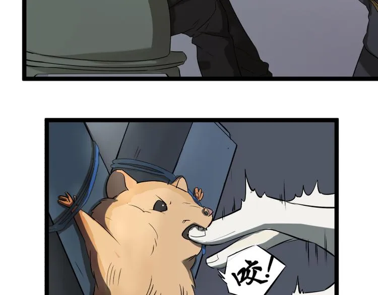 第13话 命悬一线的仓鼠 第51页