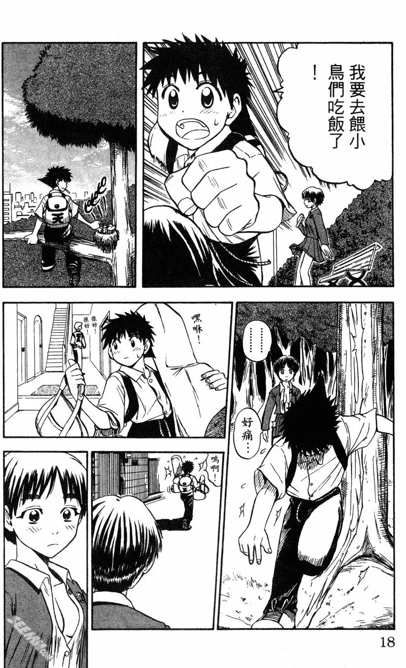 第04卷 第17页