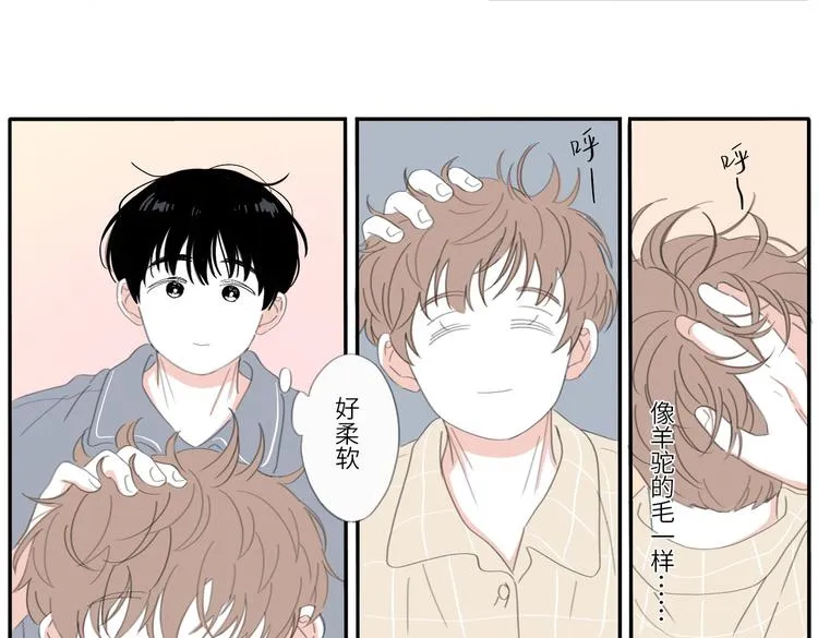 19 上 柔软 第15页