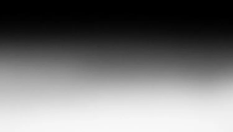 5 人生就是一个骗局 第29页