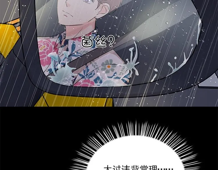 第20话 别偷看 第50页