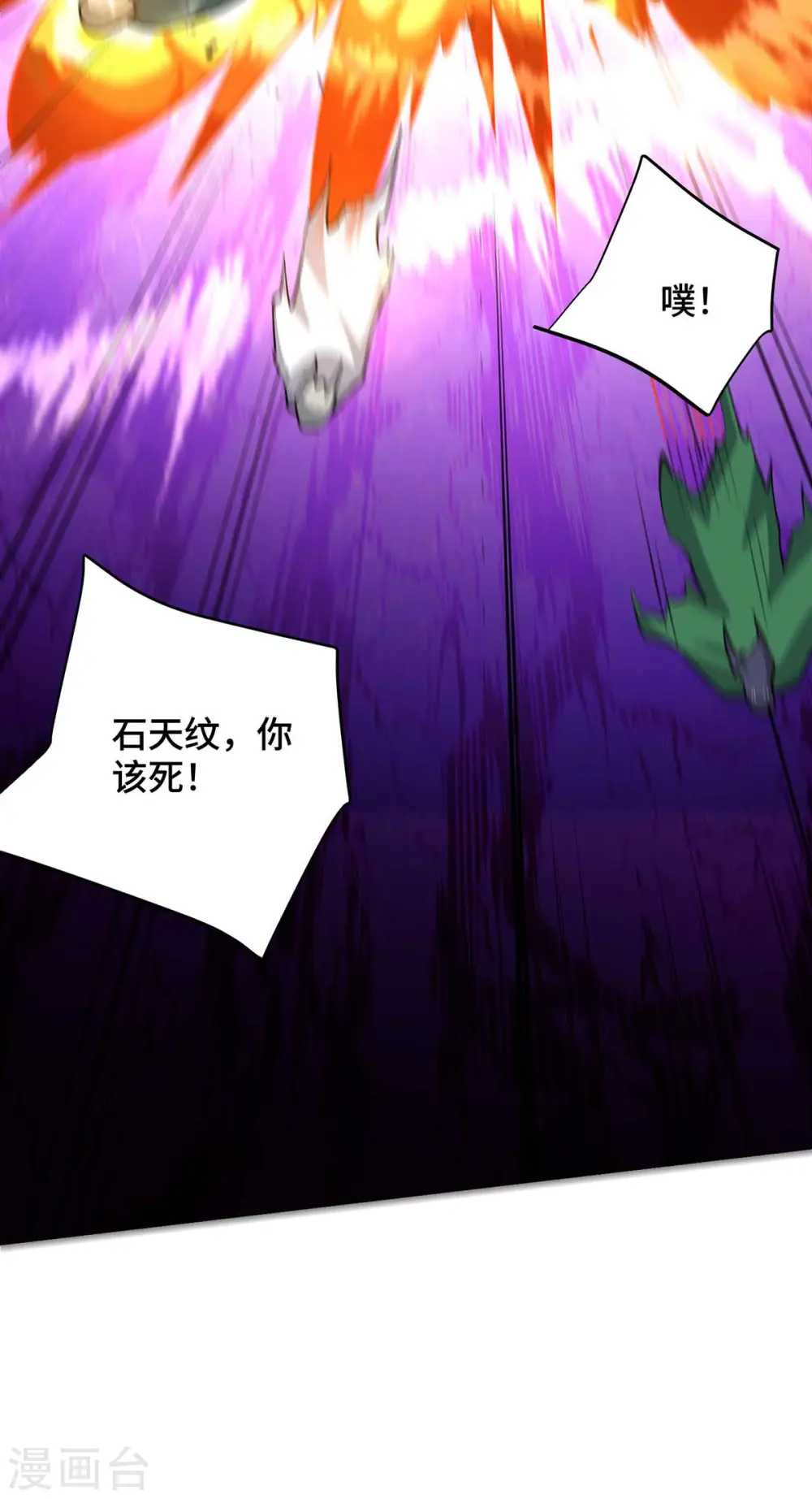第425话 石天纹 第17页