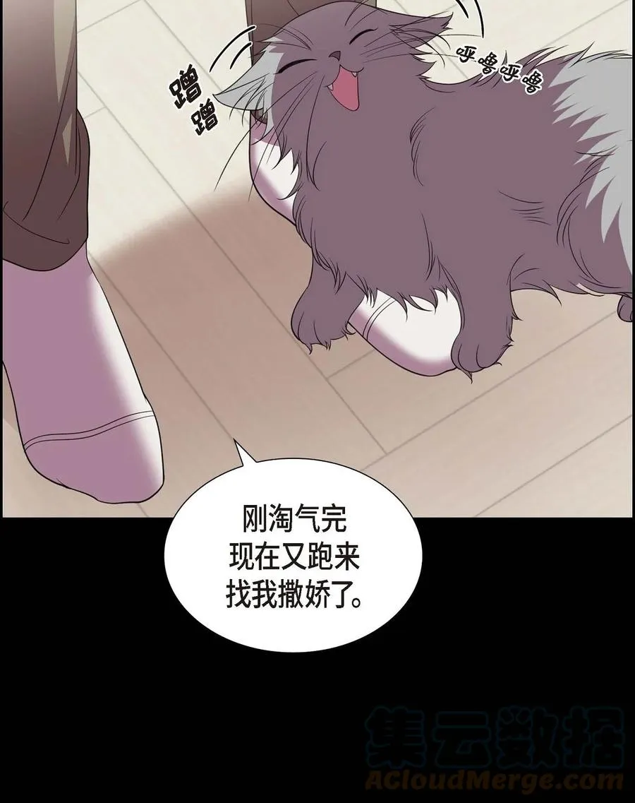 15 小猫咪 第7页