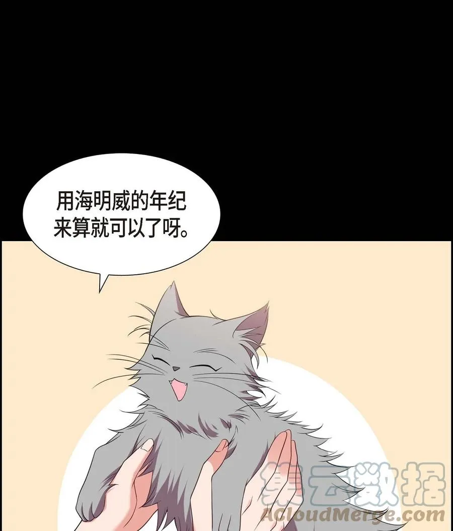 15 小猫咪 第13页