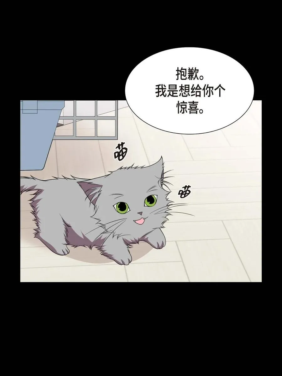 15 小猫咪 第20页