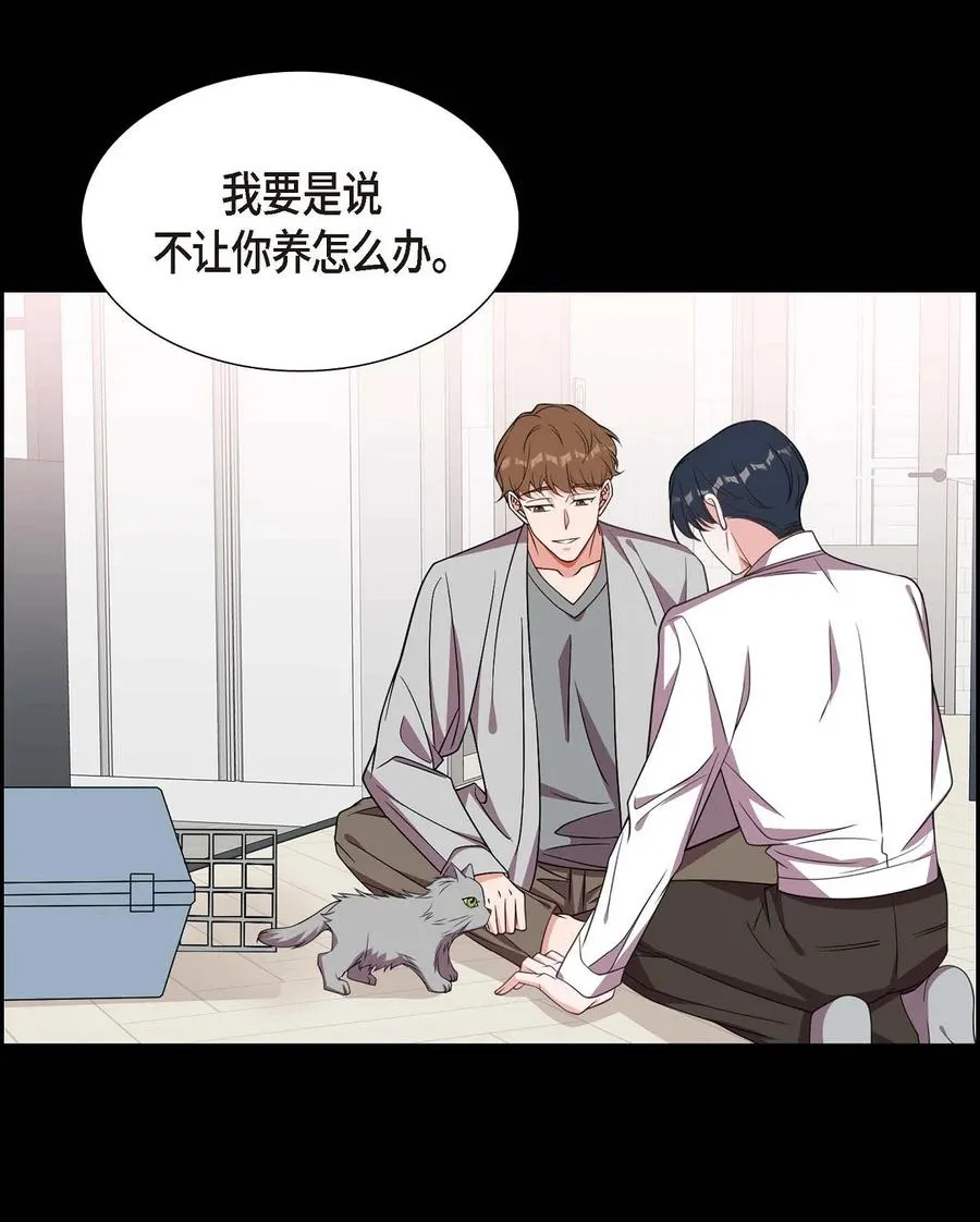 15 小猫咪 第21页