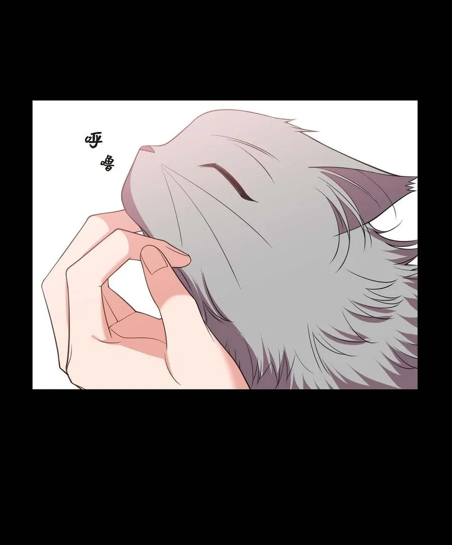 15 小猫咪 第27页