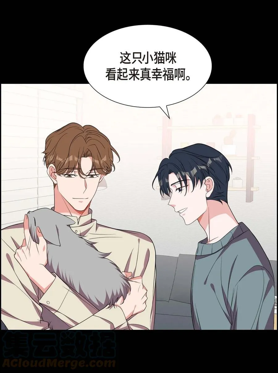 15 小猫咪 第28页