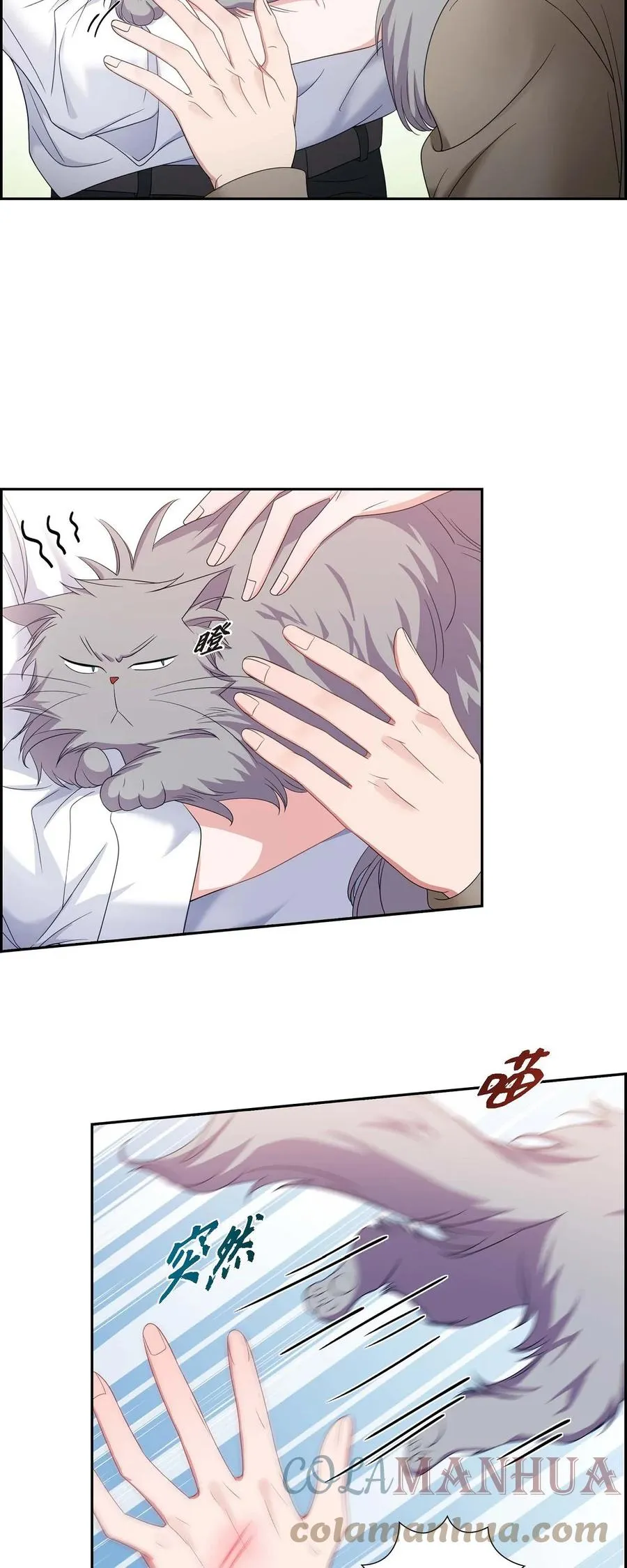 27 这书我知道 第43页