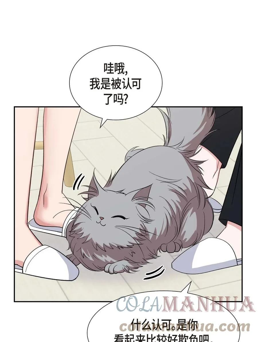 29 好久不见啊 第43页