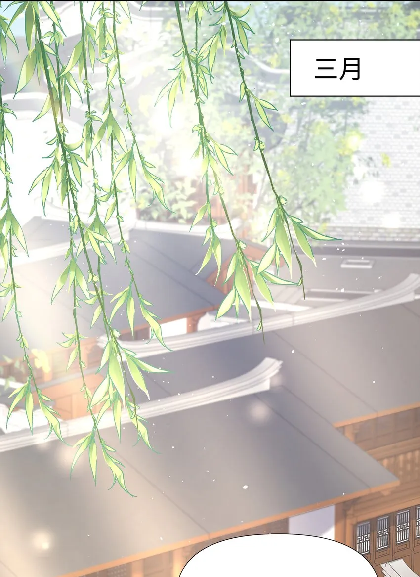 019 孔雀 第40页