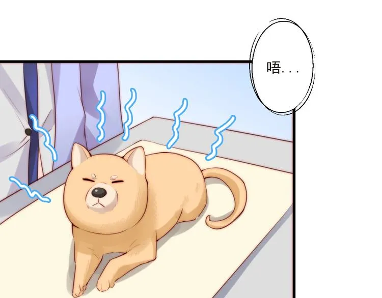 第11话 救治 第10页