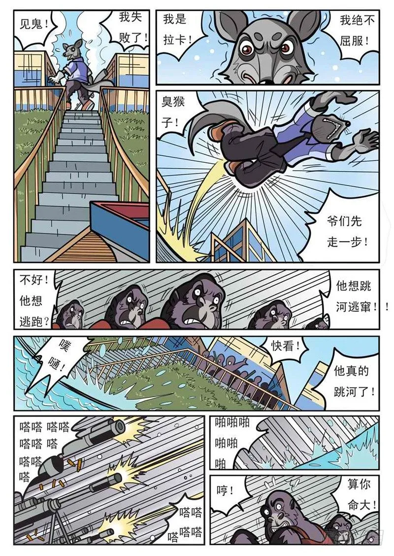 救出拉卡 第3页