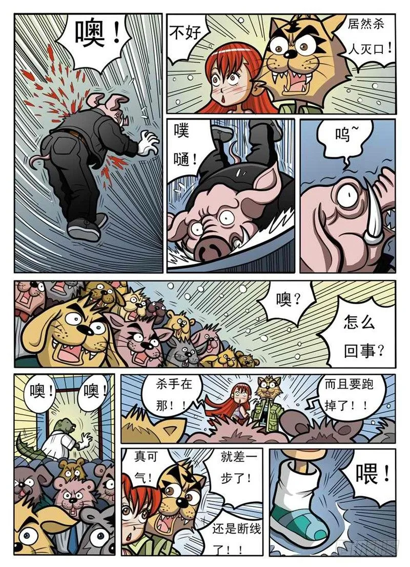 赌拳 第13页