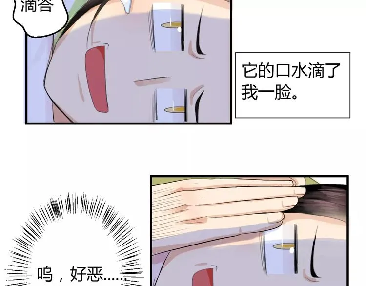 第1+2话 霸道老虎爱上我？ 第41页