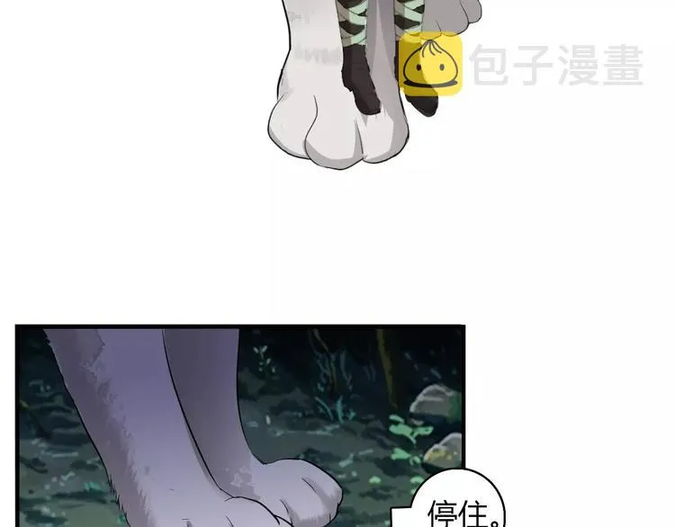 第1+2话 霸道老虎爱上我？ 第150页