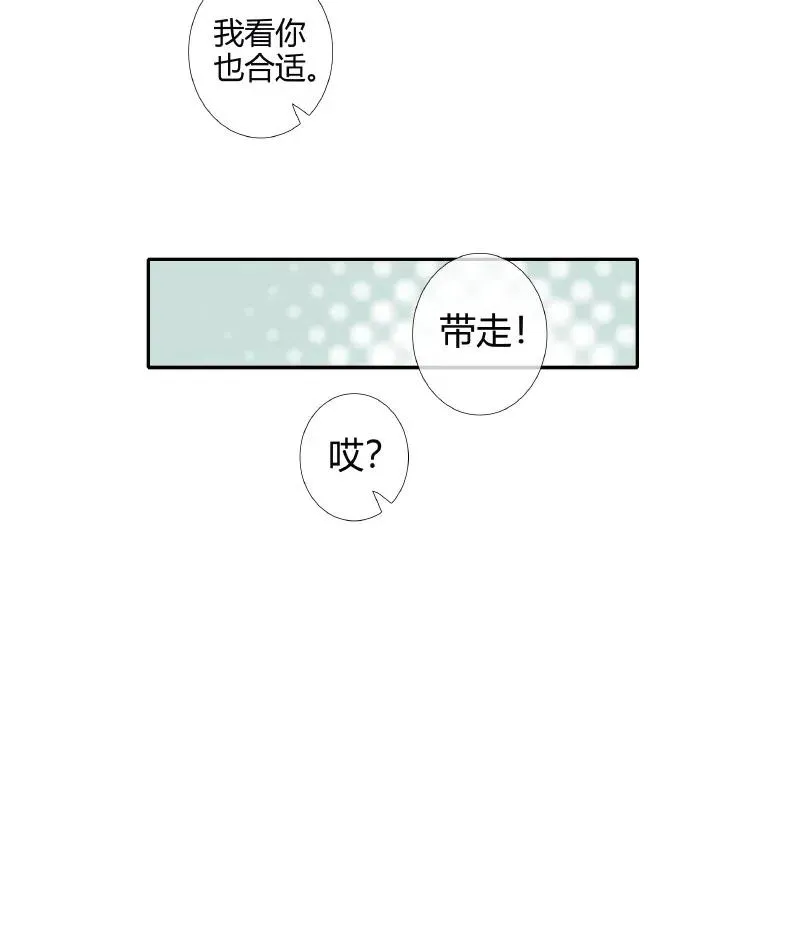 050 花开花谢 第11页
