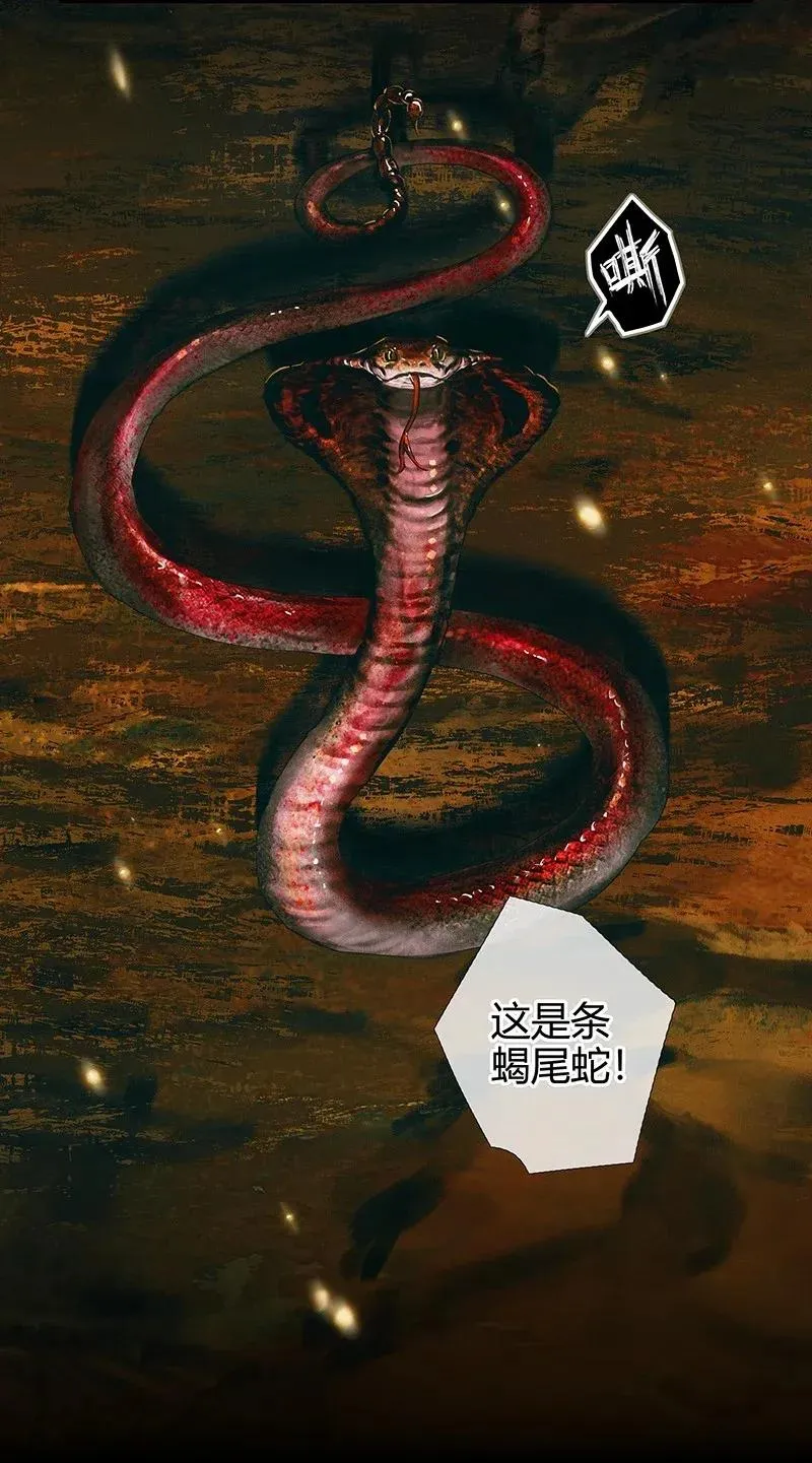 035 将军墓冢 贰 第14页