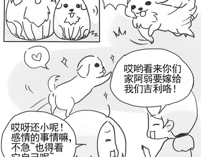 谢谢你来过这世界 第33页