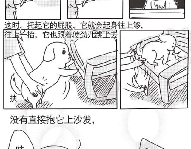 谢谢你来过这世界 第43页
