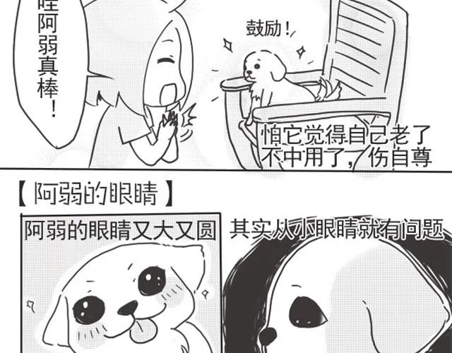 谢谢你来过这世界 第44页