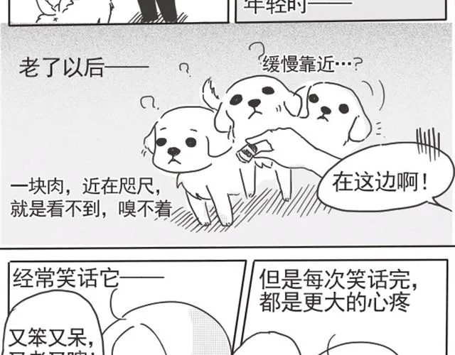 谢谢你来过这世界 第48页