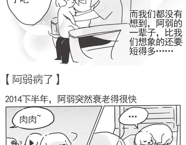 谢谢你来过这世界 第50页