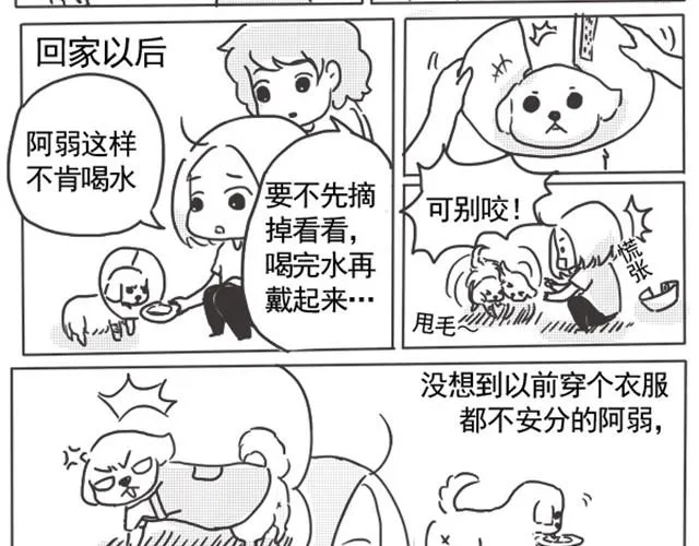 谢谢你来过这世界 第60页