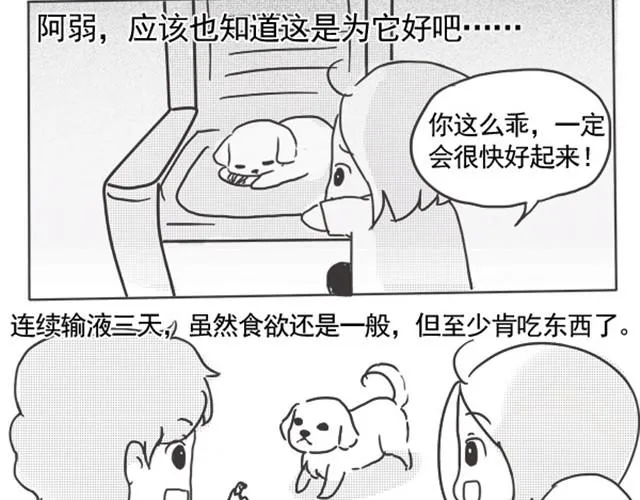 谢谢你来过这世界 第62页