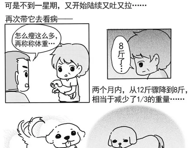 谢谢你来过这世界 第64页