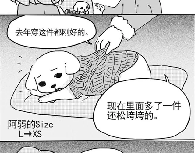 谢谢你来过这世界 第83页