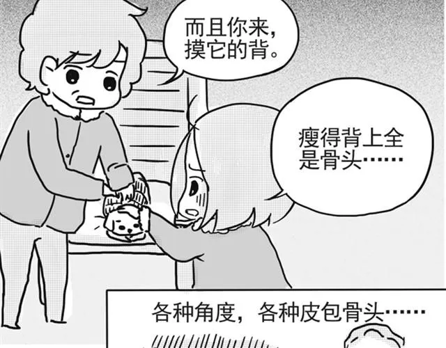 谢谢你来过这世界 第84页