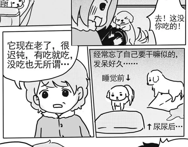 谢谢你来过这世界 第88页