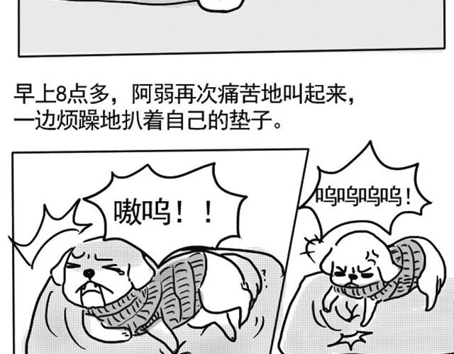 谢谢你来过这世界 第96页