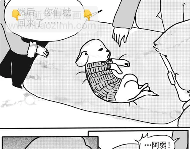 谢谢你来过这世界 第137页