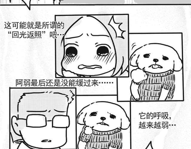 谢谢你来过这世界 第144页
