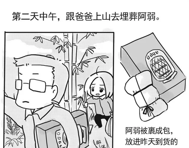 谢谢你来过这世界 第163页