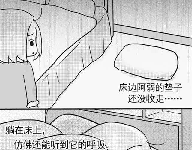 谢谢你来过这世界 第185页