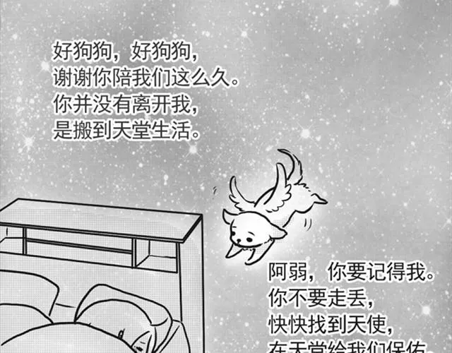 谢谢你来过这世界 第187页