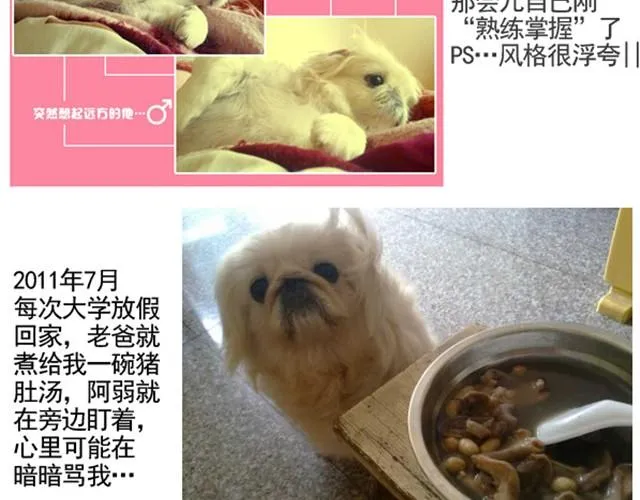 谢谢你来过这世界 第192页