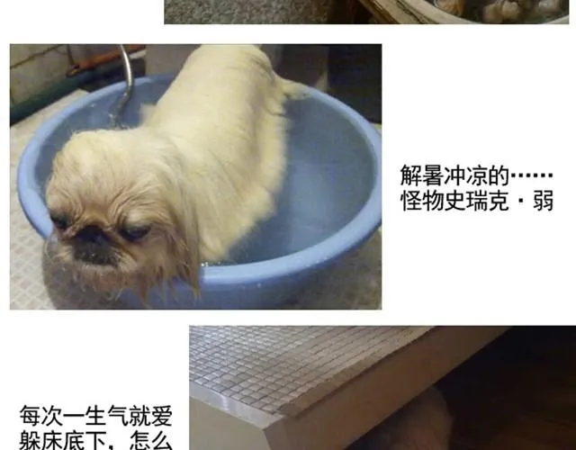 谢谢你来过这世界 第193页