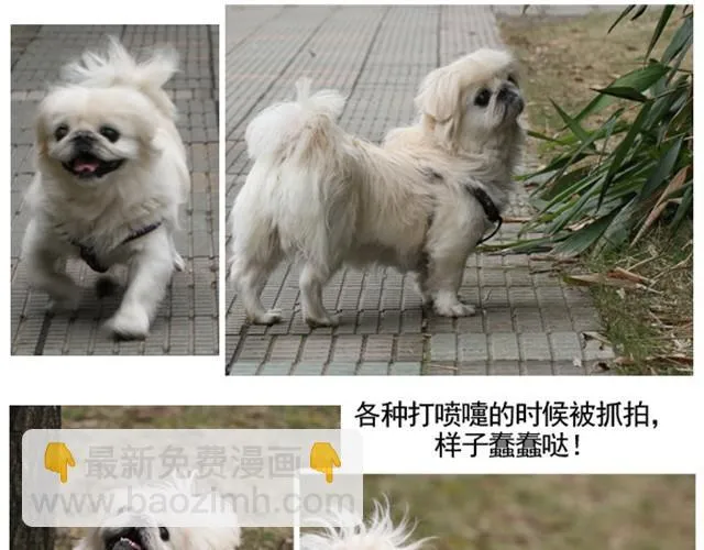 谢谢你来过这世界 第197页