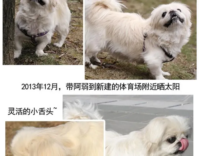 谢谢你来过这世界 第198页