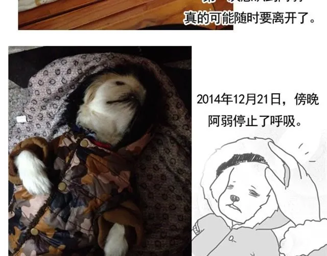谢谢你来过这世界 第204页