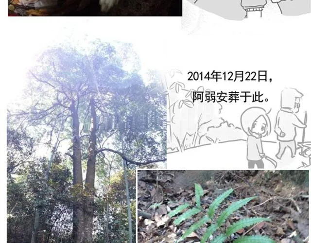 谢谢你来过这世界 第205页