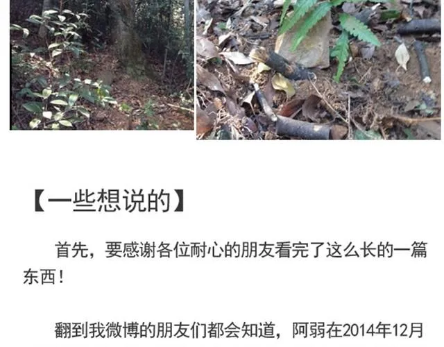 谢谢你来过这世界 第206页