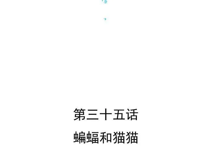 第35话 蝙蝠和猫猫 第4页