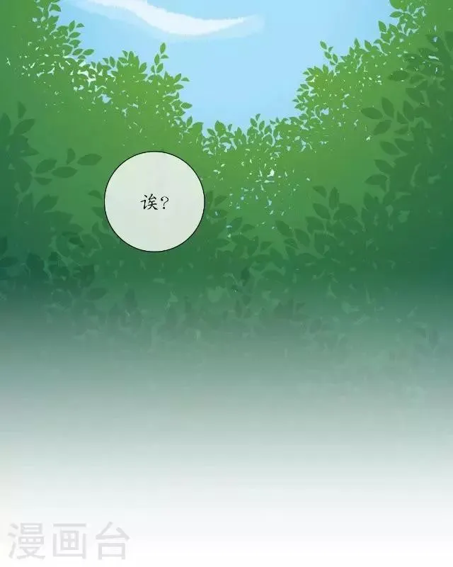 第1话 林中初遇 第25页