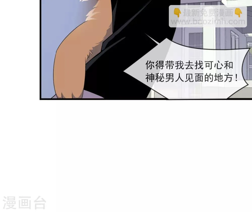 第27话 布偶 第14页