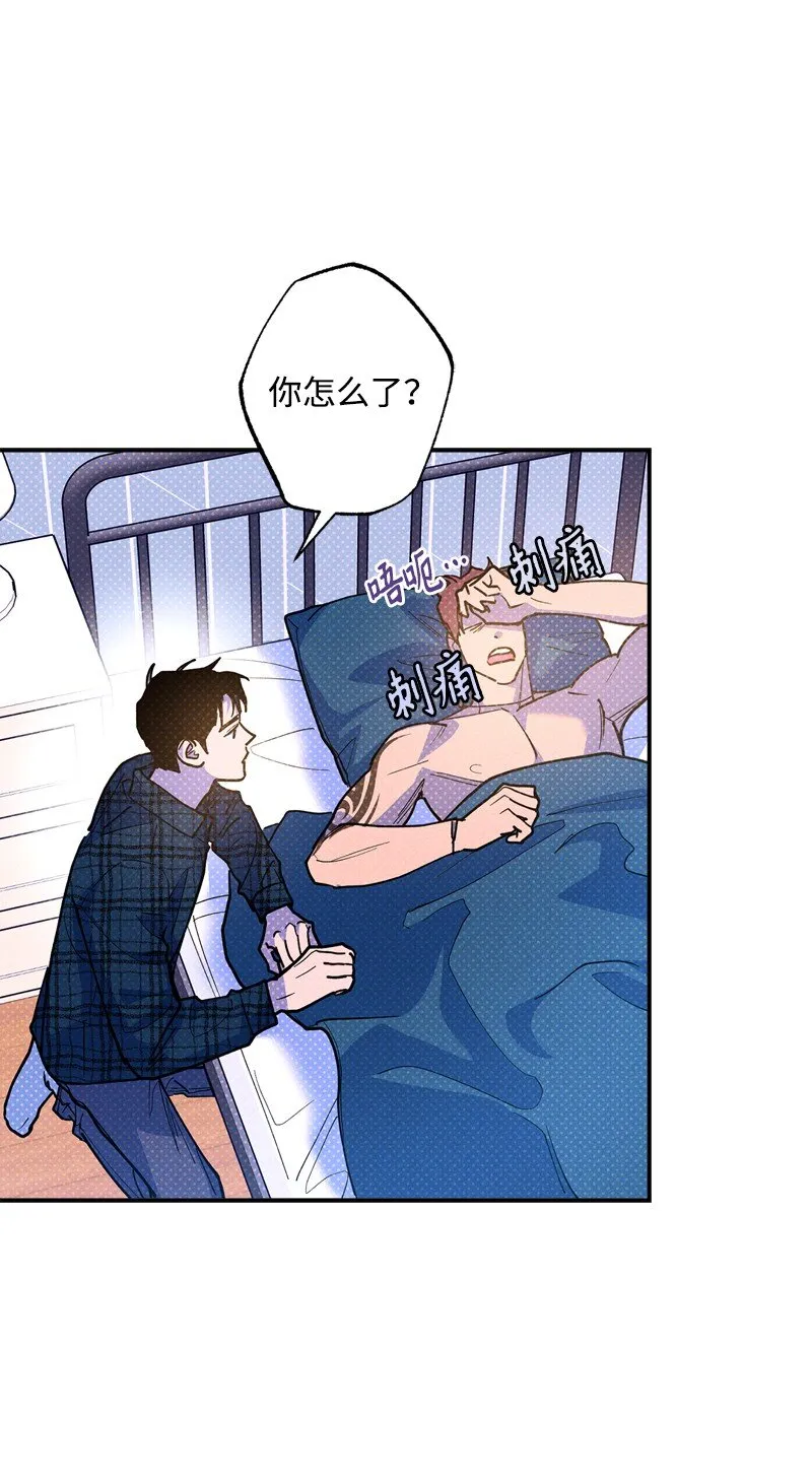 66 购物 第8页